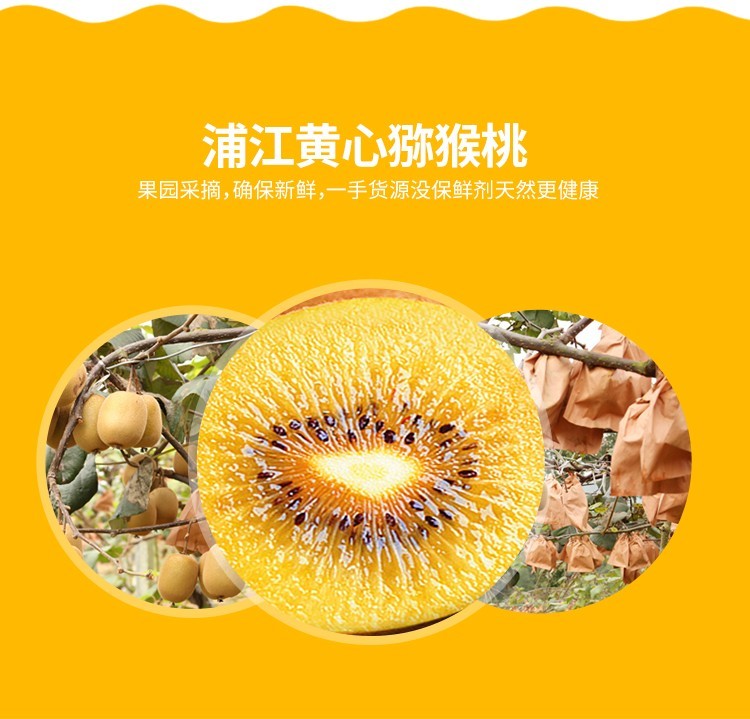 105860-广供天下 四川蒲江黄心猕猴桃金果猕猴桃 单果50-70g30枚-详情图