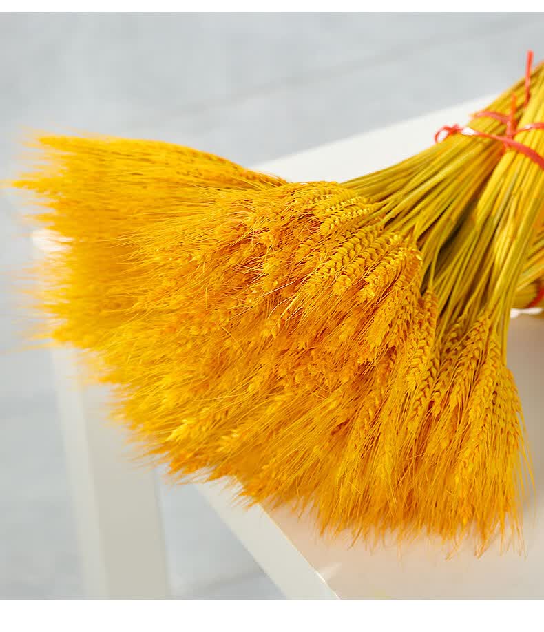 黄金花束开业大麦客厅田园装饰摆件干花插花拍摄道具金黄色麦穗50支