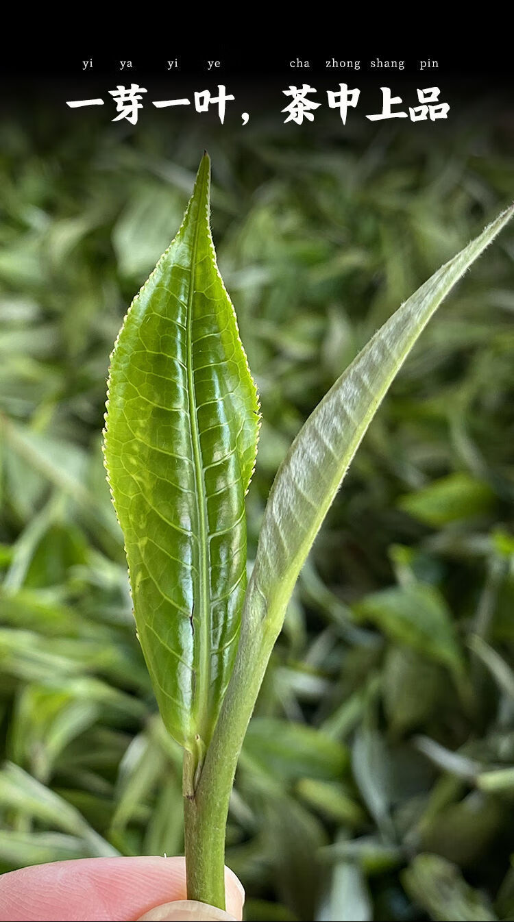 更多参数>>建议茶具:盖碗采摘要求:一芽一叶适用季节:春季采摘地:云南