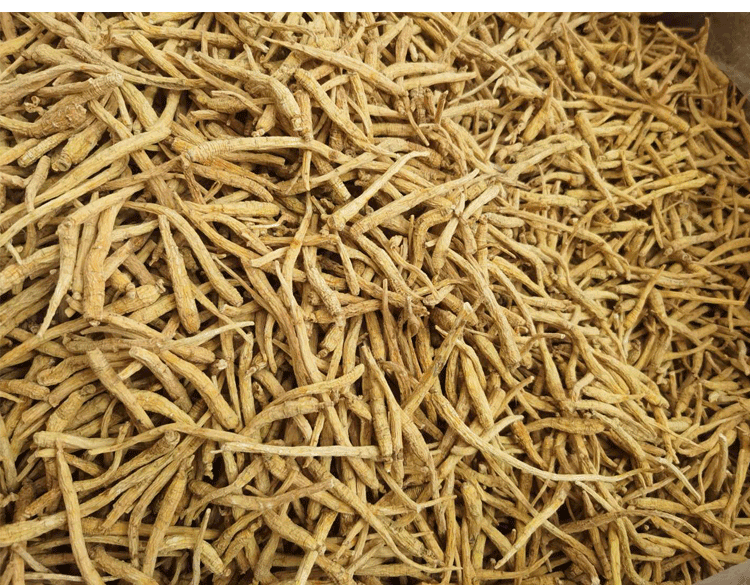 500克一斤装进口西洋参须段 正宗加拿大花旗参须西洋参粉泡酒炖汤 500