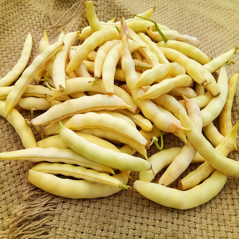 顺丰东北黄金勾油豆角钩豆角新鲜鼓豆角勾勾黄豆角兔子翻白眼4斤水果