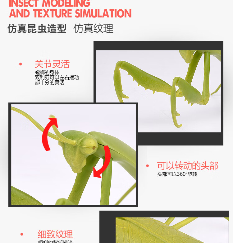 螳螂捕捉小神器图片