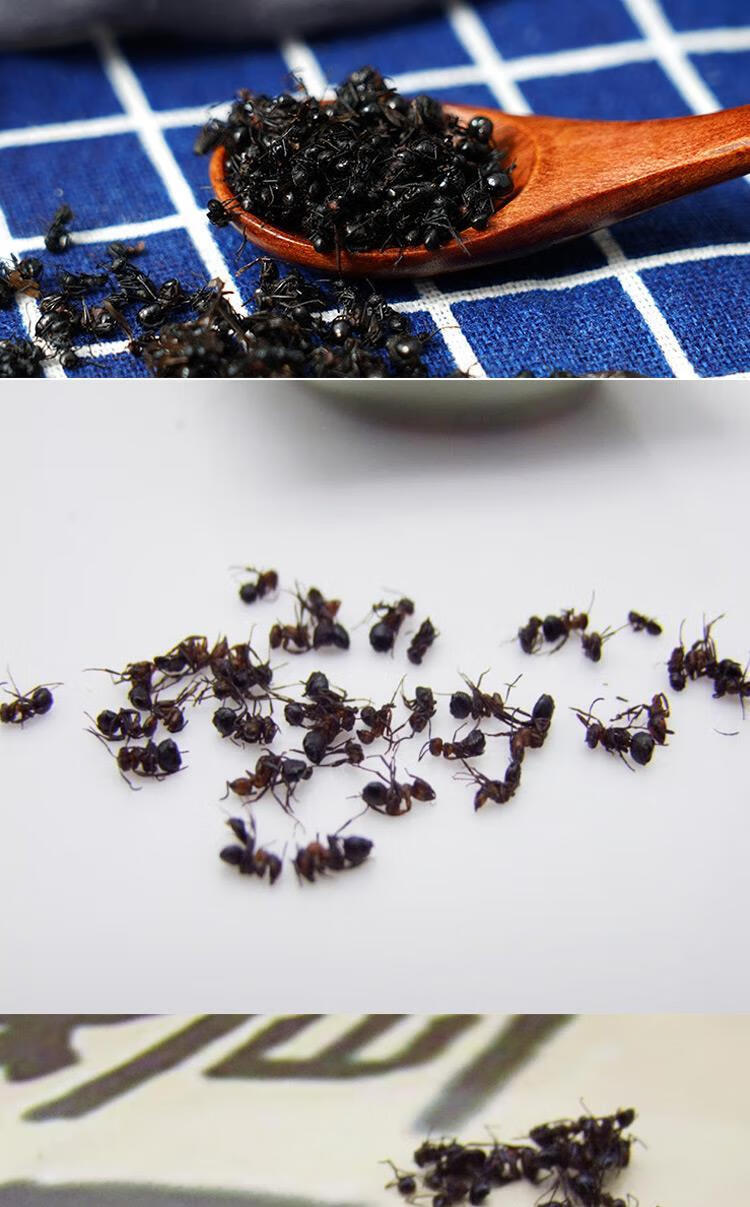 大兴安岭黑蚂蚁干250g东北黑蚂蚁中药材泡酒可打粉中蚂蚁250g