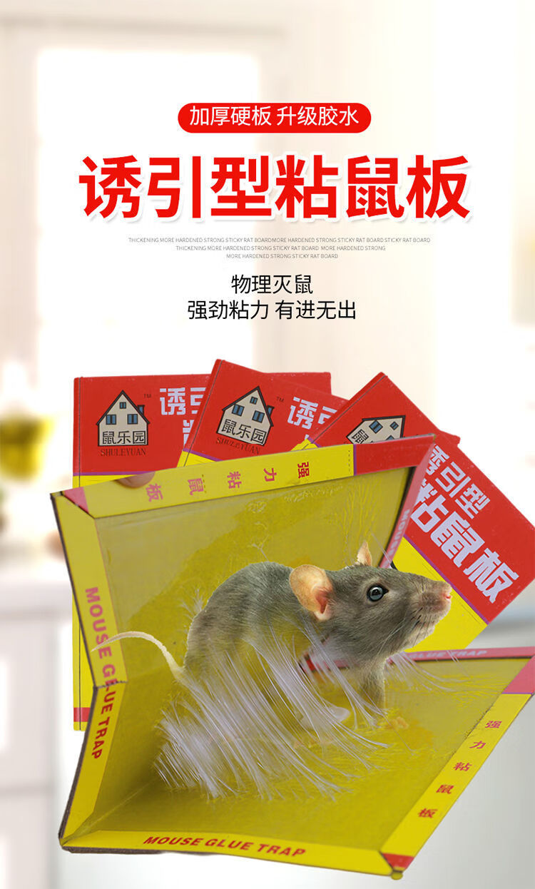 灭鼠强力胶抓老鼠笼捕鼠神器高粘度家用一窝端15张力老鼠板含诱鼠片