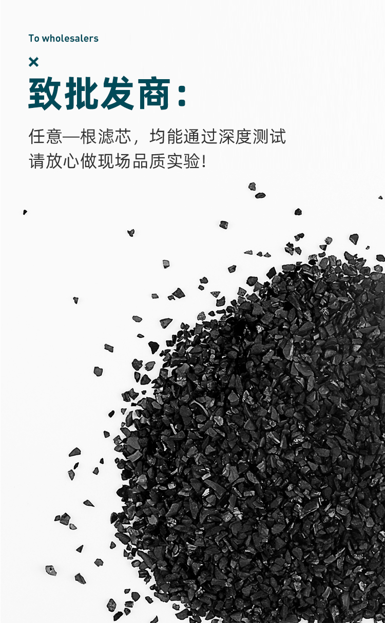 2022新款t33后置活性炭滤芯沁园滤芯2分快接通用沁园ro185cd安吉尔a64