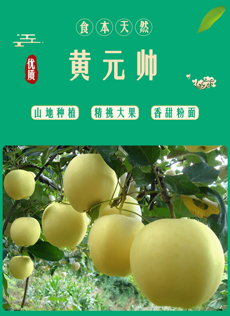 甘肃黄元帅苹果新鲜水果应当季自产粉面大苹果金帅黄香蕉整箱5斤