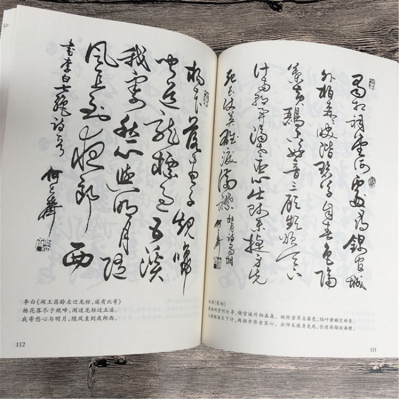 《怎樣寫草書行書隸書楷書何大齊毛筆字帖成人學生練字貼唐詩千字文