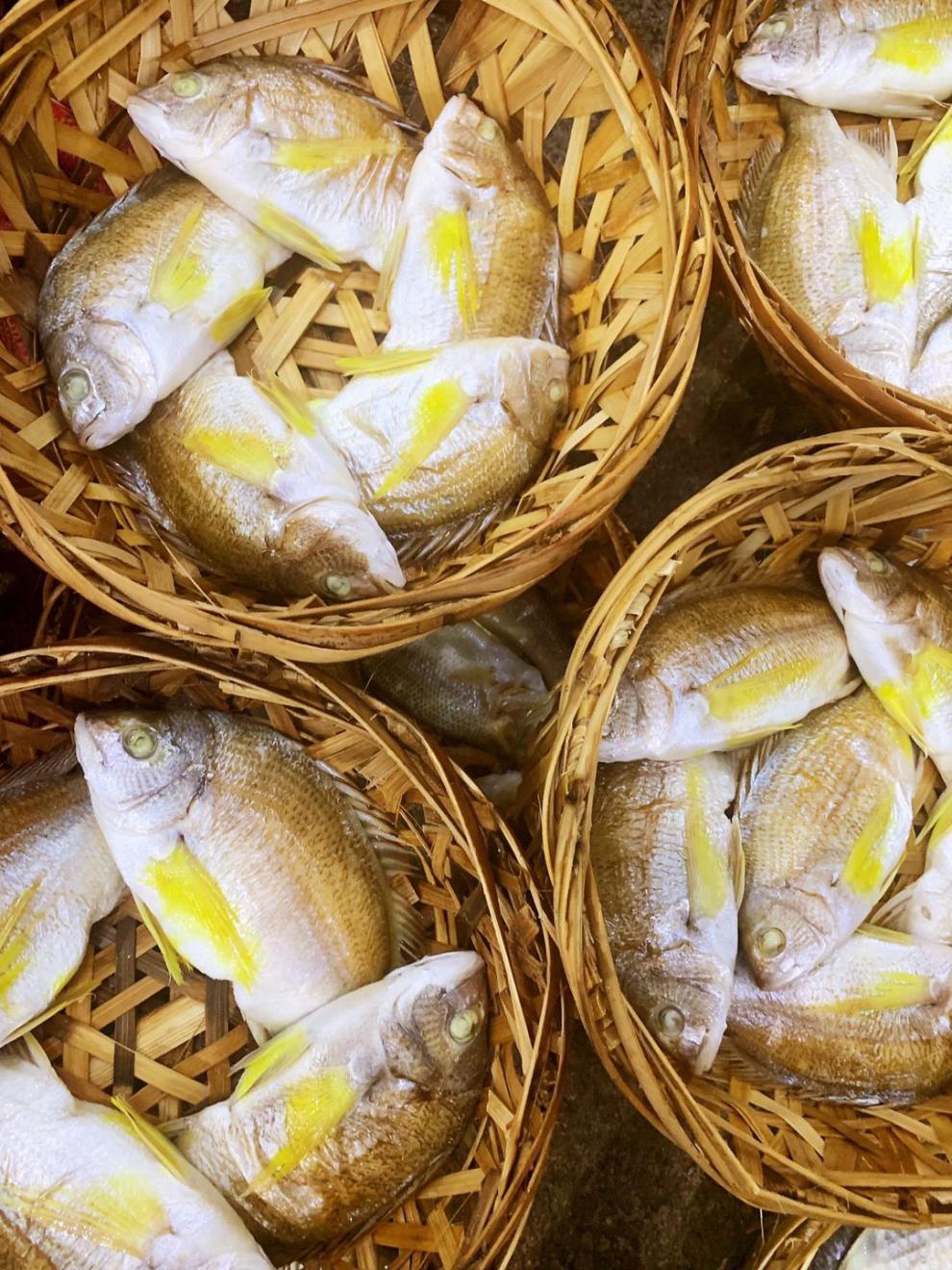 潮汕鱼饭多规格黄墙鱼金雕鱼赤翅鱼海鲜鱼两斤价格