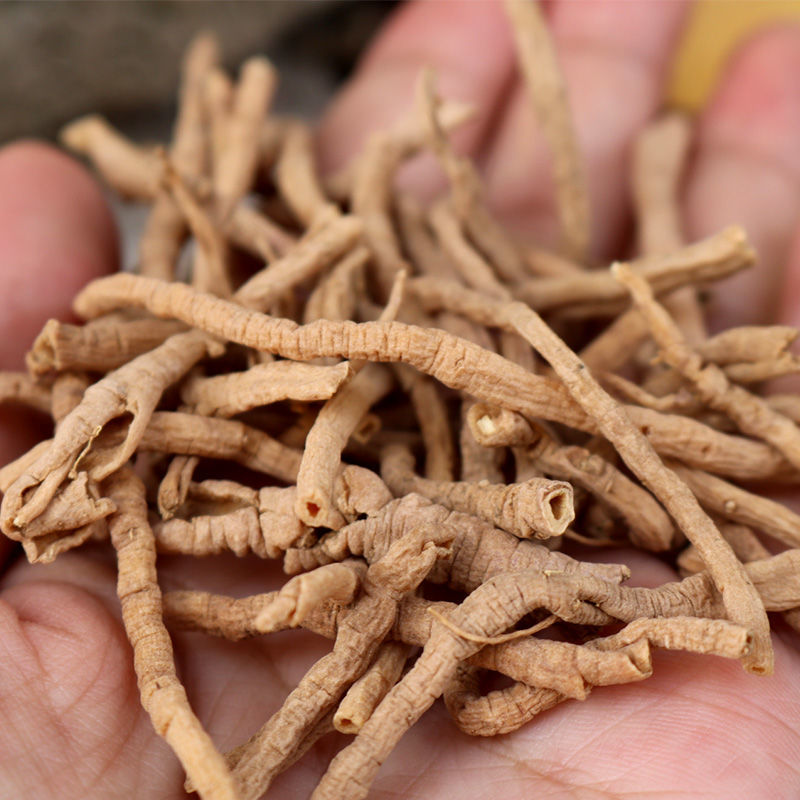 有仁堂远志500g克特级中药材无硫抽芯远志肉远志另售炙远志伸筋草仁