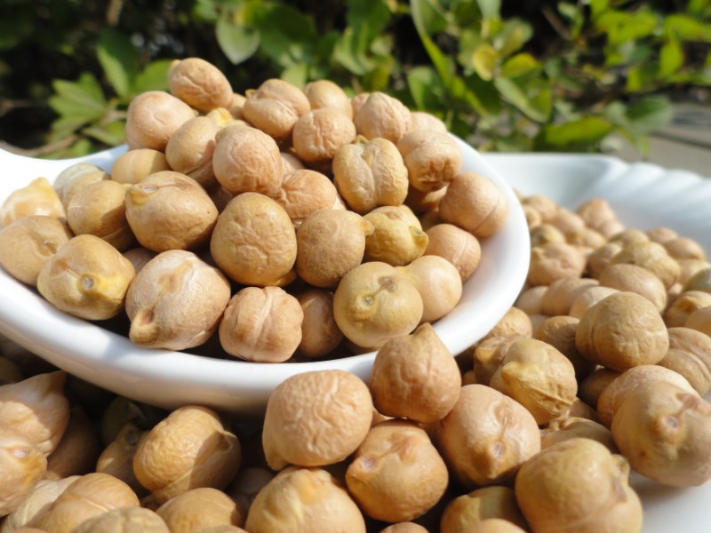 新疆奇豆 鹰嘴豆500g 个头中等【图片 价格 品牌 报价】-京东