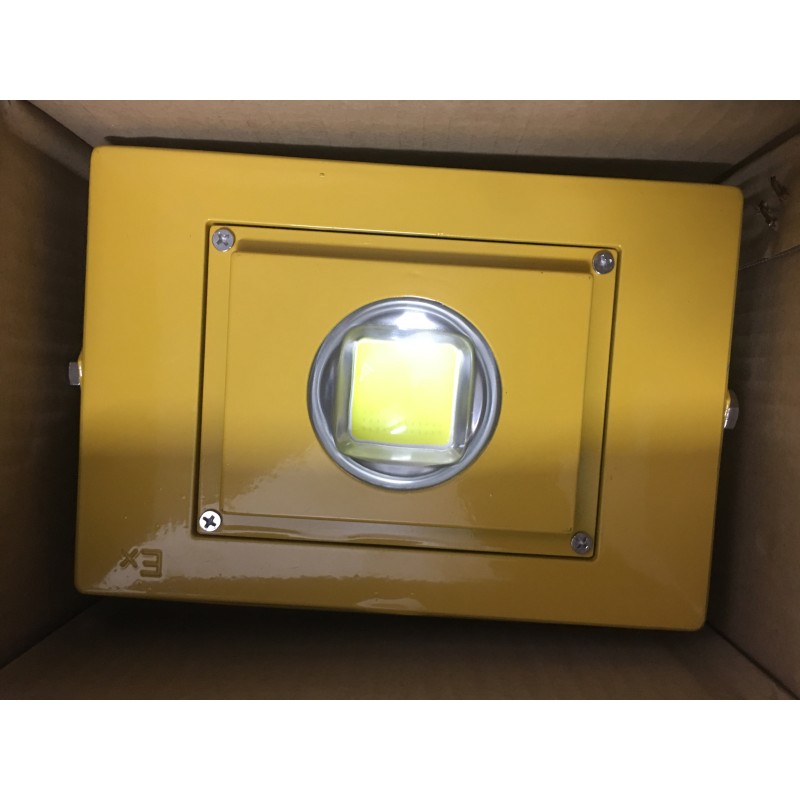 led防爆隧道灯仓库厂房灯100w加油站船用220v36v24v低压台车灯200w超