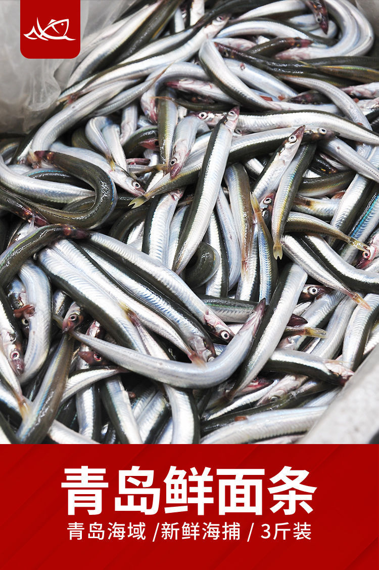 青岛海捕面条鱼鲜活新鲜冷冻海杂鱼小海鱼沙丁鱼小银鱼小鱼二三王牛1