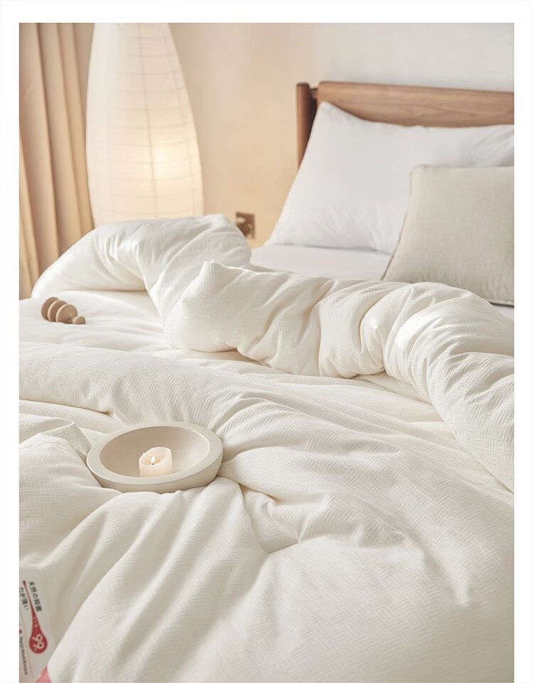 梓奥家纺 好睡眠出口明治西川被子被芯a类大豆纤维被纯棉春秋被冬季