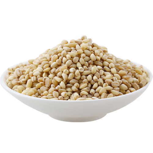 盐城特产苏北五谷杂粮大麦彩子粗粮大麦糁大麦采子大麦米额满 大麦片5