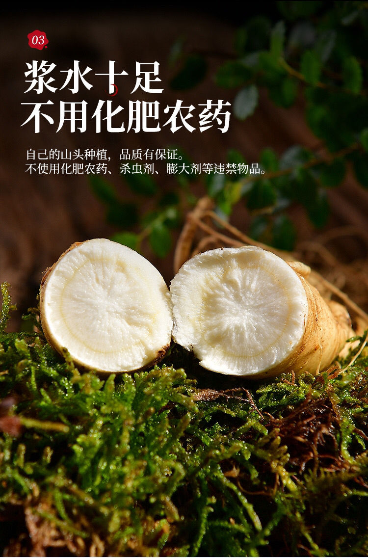 伟博新鲜西洋参现挖大个西洋参整只新鲜带土高参龄非菲野人参花旗参每