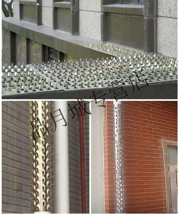 不锈钢镀锌防爬刺管道刺阳台围墙防盗防爬刺平板刺镀锌平刺20cm50cm