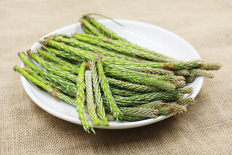 长白山松针茶 嫩松树尖 松针嫩芽 松树嫩芽 养生茶500g【图片 价格