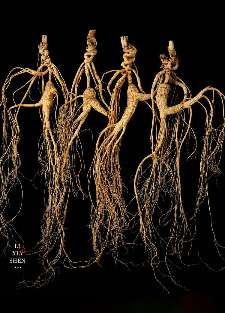 正宗林下参 长白山人参野山参 泡酒煲汤 高龄野生人参生晒参东北 20年