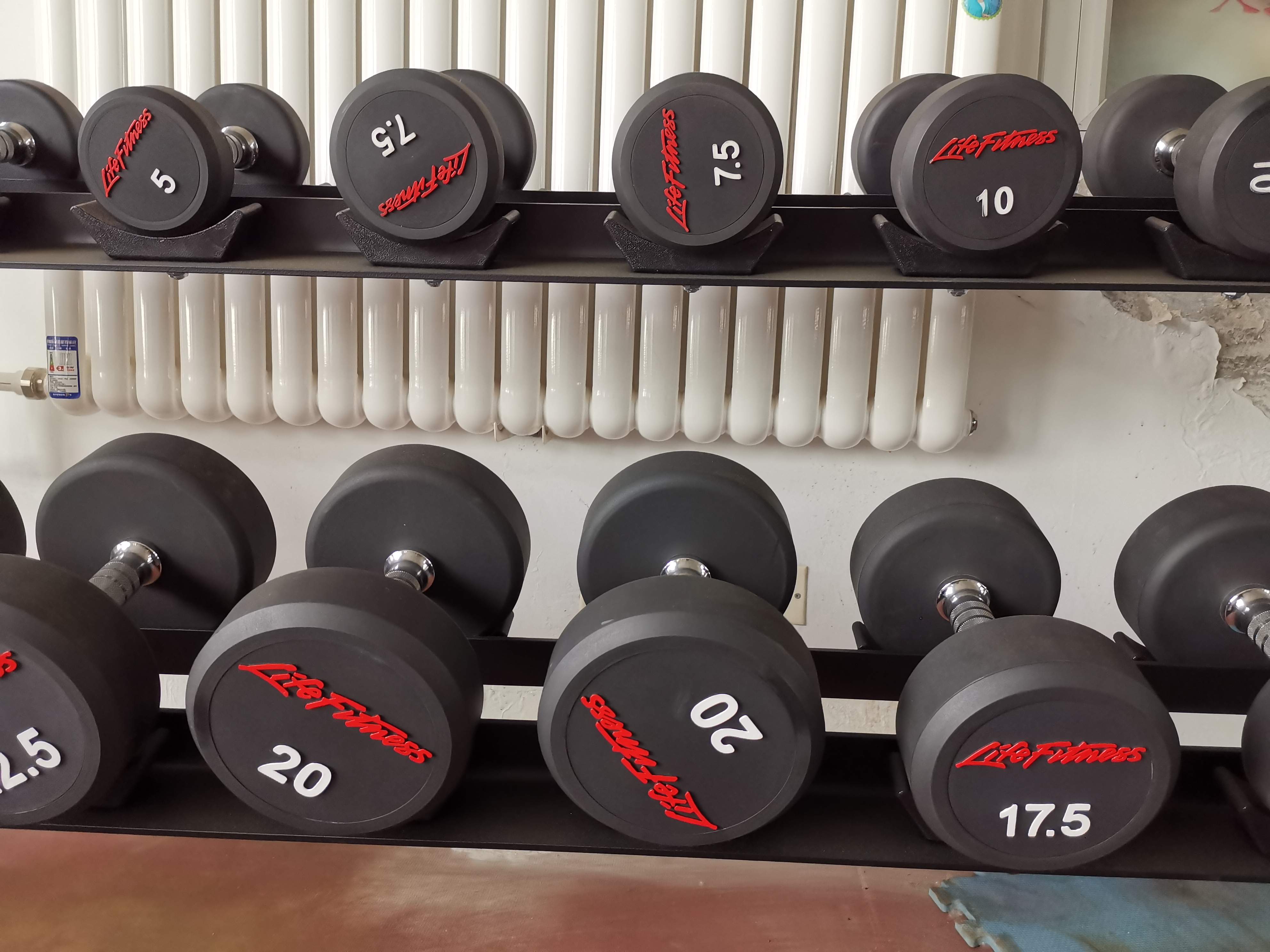 力健哑铃tpu环保材质纯钢内芯枣核型握把出口品质5公斤一对共10公斤力