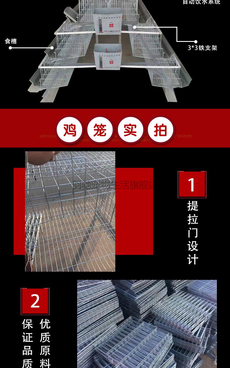 蛋鸡养殖场专用鸡笼子不锈钢蛋鸡笼镀锌养殖鸡场自动滚蛋阶梯式三四层