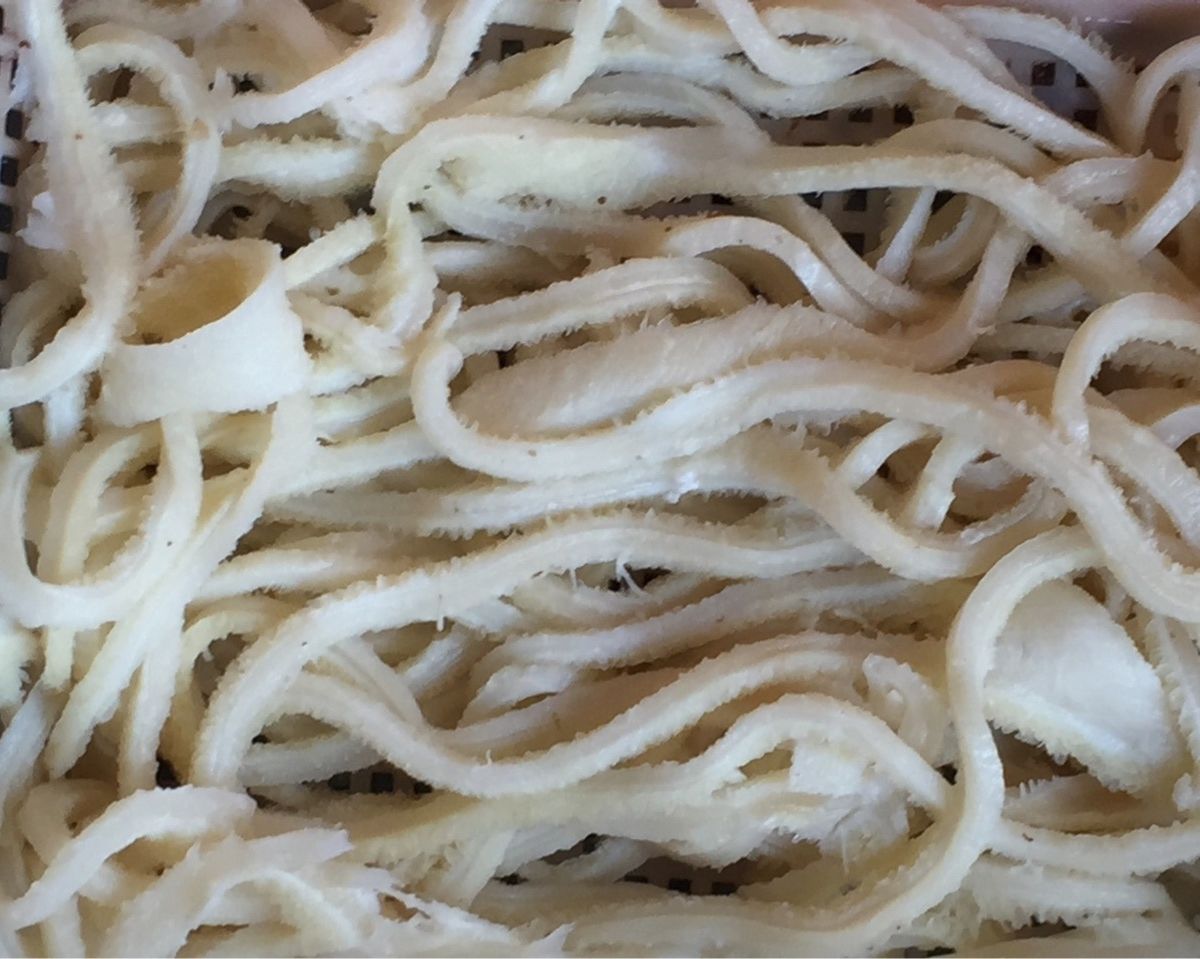 牛大肚火锅毛肚水发毛肚牛肚丝金钱肚火锅串串麻辣烫食材如图