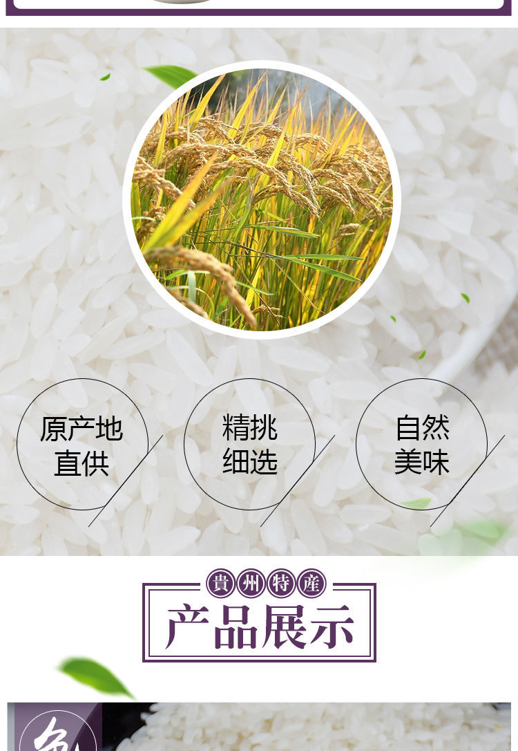 贵州特产中裕小二郎香米10kg20斤新米农家自产平坝高原大米长粒形