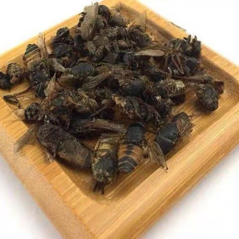 虻虫中药材10g 水虻虫黑水虻虫干 苍蝇牛虻 牛虻虫 虻虫粉 牛蚊子 10g
