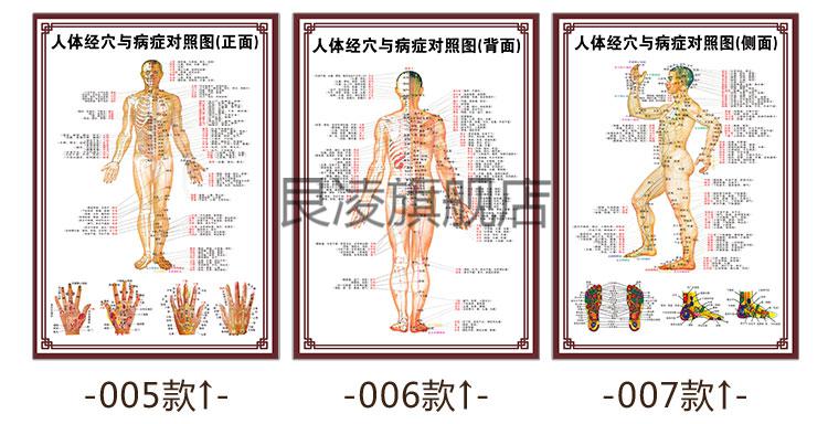 人體穴位對症掛圖中醫養生人體經絡穴位圖大掛圖全身高清穴位推拿按摩