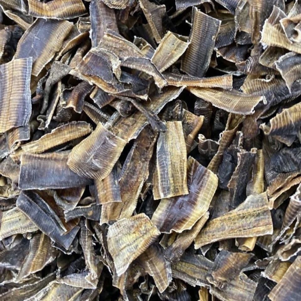 地龙中药材全开广西地龙干 无土地龙 无任何泥沙地龙粉 蚯蚓干50g