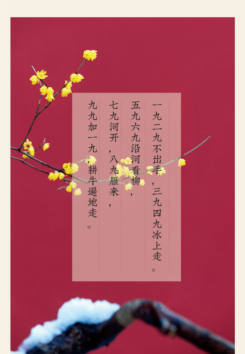 九九消寒图复古民间九九消寒图传统日历冬至过年画立春线稿水墨梅花