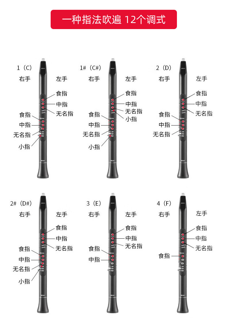 6015見賢思齊音樂坊雅佳電吹管solo樂器solosoloc新型雅佳 雅家