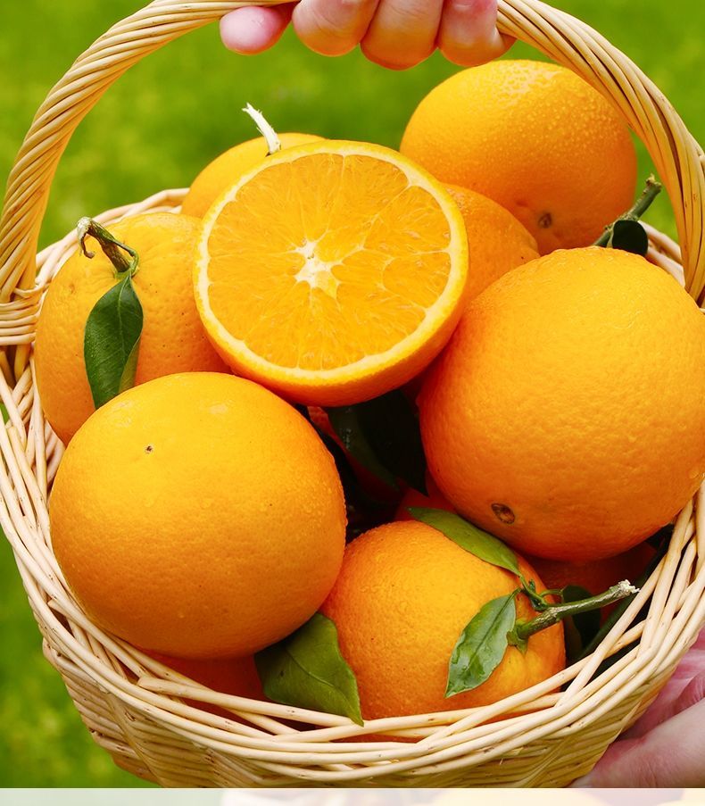 【精选生鲜】湖北秭归新鲜橙子高山脐橙现摘应季酸甜孕妇水果3/5/9斤 