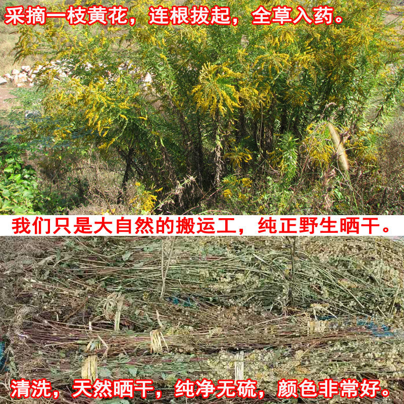 有仁堂中藥材一枝黃花一支黃花幹品百根草蛇頭王老虎尿500克草藥年貨