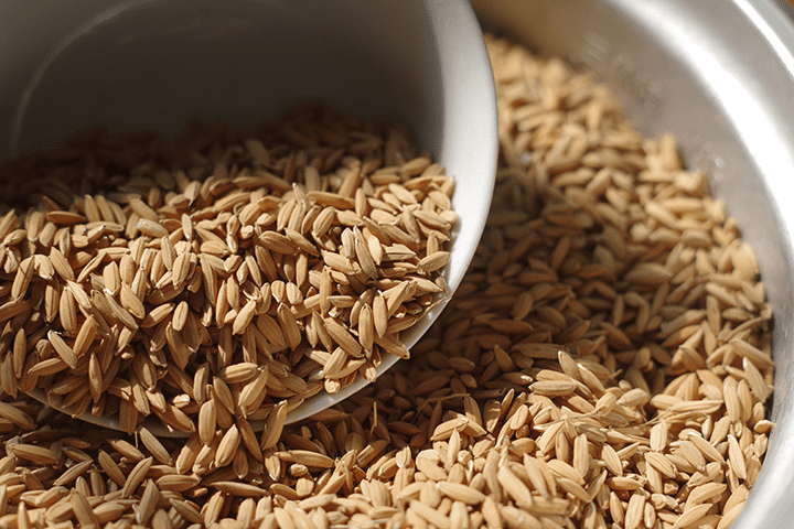 农家鸡鸭食稻谷喂鸡谷子带壳水稻鸟食鸽饲料鸡稻子粮食仓鼠粮稻谷20斤