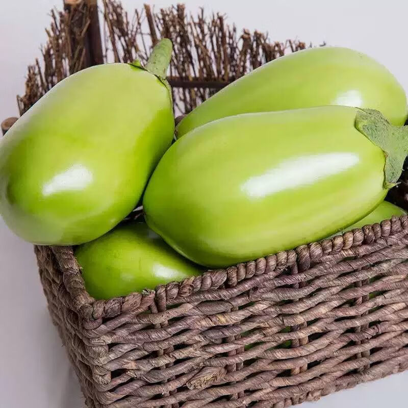 东北特产现摘时令蔬菜绿茄子新鲜绿茄子绿色天然产地青茄新鲜净重4斤