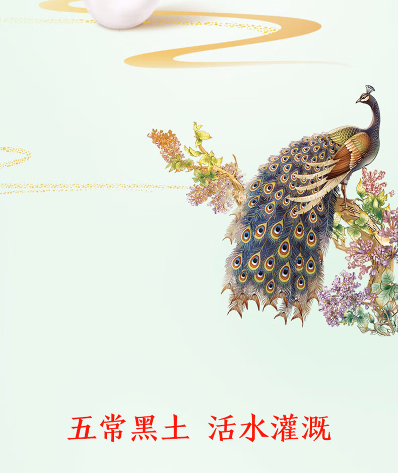 详情图.png