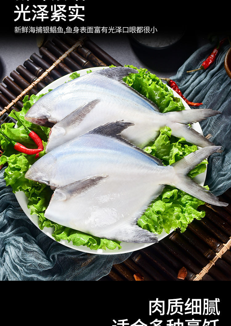 鲳鱼批发鲳鱼新鲜大号鲳鱼冷冻一箱小鲳鱼银鲳鱼整条银鲳鱼57条斤常规