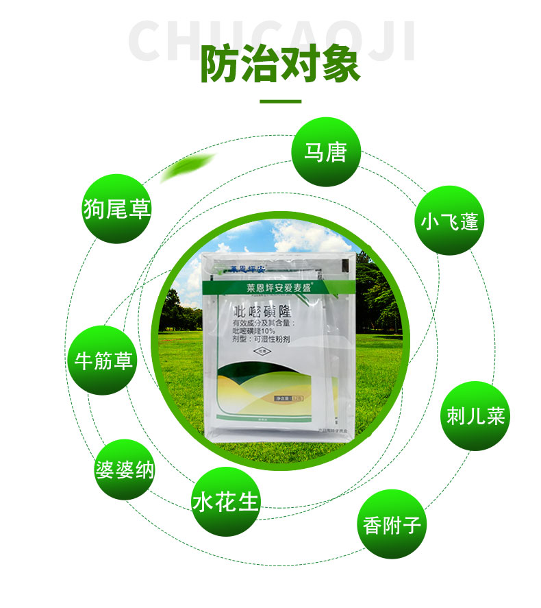 坪安玉龙净爱麦盛玉龙草日本矮麦冬不伤麦冬除草剂阔尖叶莎草杂草 65