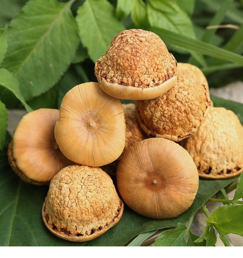 风流果广西风流果野生龟gui头子天竺子500g克男性泡酒料搭阴阳子双