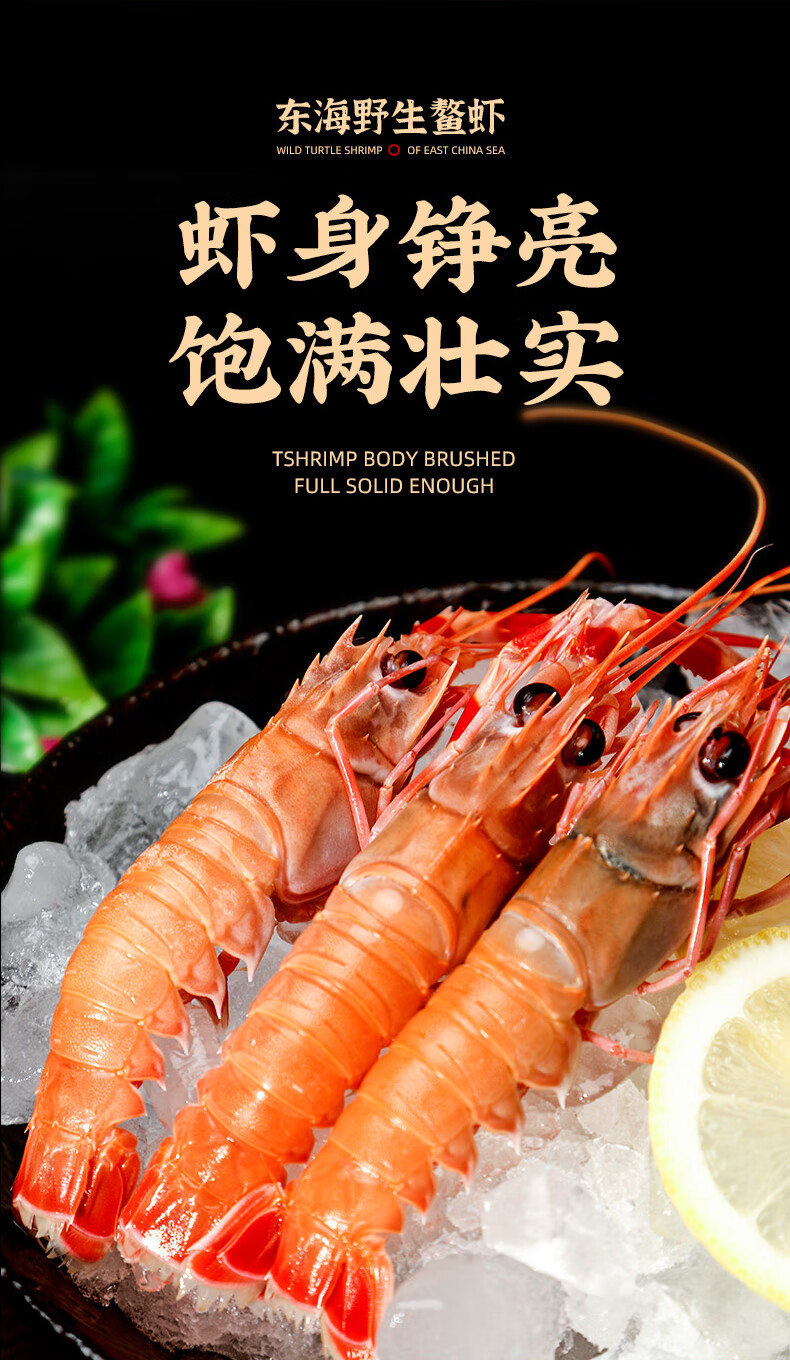 舟山新鲜深海鳌虾刺1-4斤身日料甜虾 冷冻海虾冰虾20只左右/斤 500g