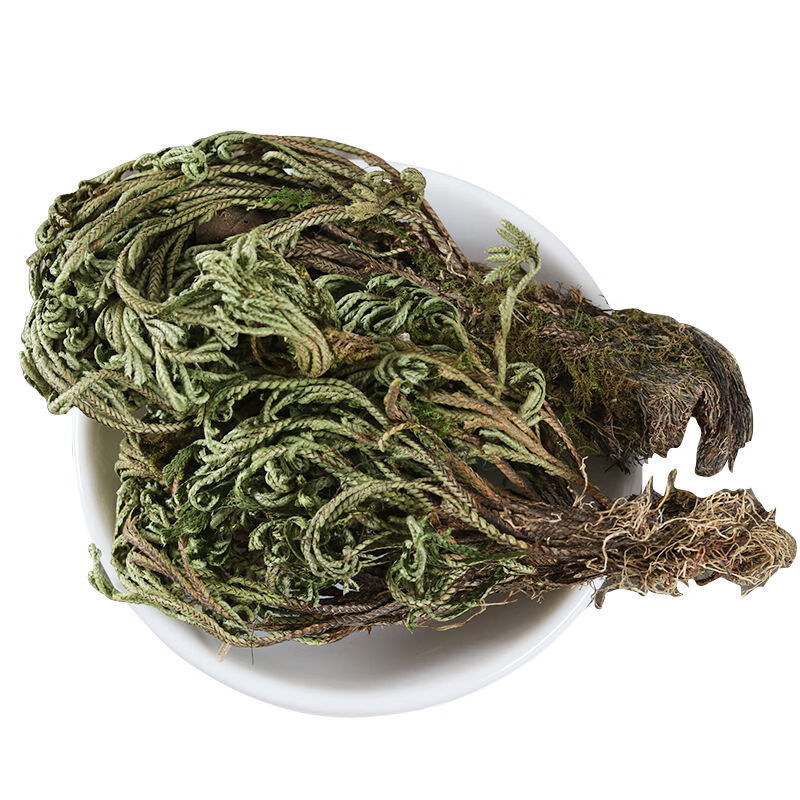 卷柏 九死还魂草干新鲜中药材 5克【图片 价格 品牌 报价】-京东