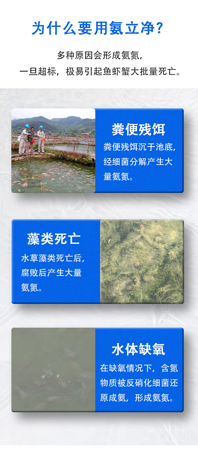 漁人歌氨氮速降水產養殖高效降解氨氮去除劑調水蝦池蟹魚塘藻相氨立淨