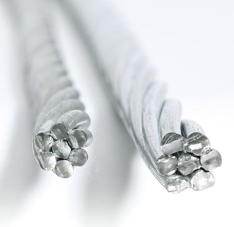 热镀锌钢绞线硬钢丝绳342485466mm大棚火龙果葡萄架拉线3mm钢绞线50米