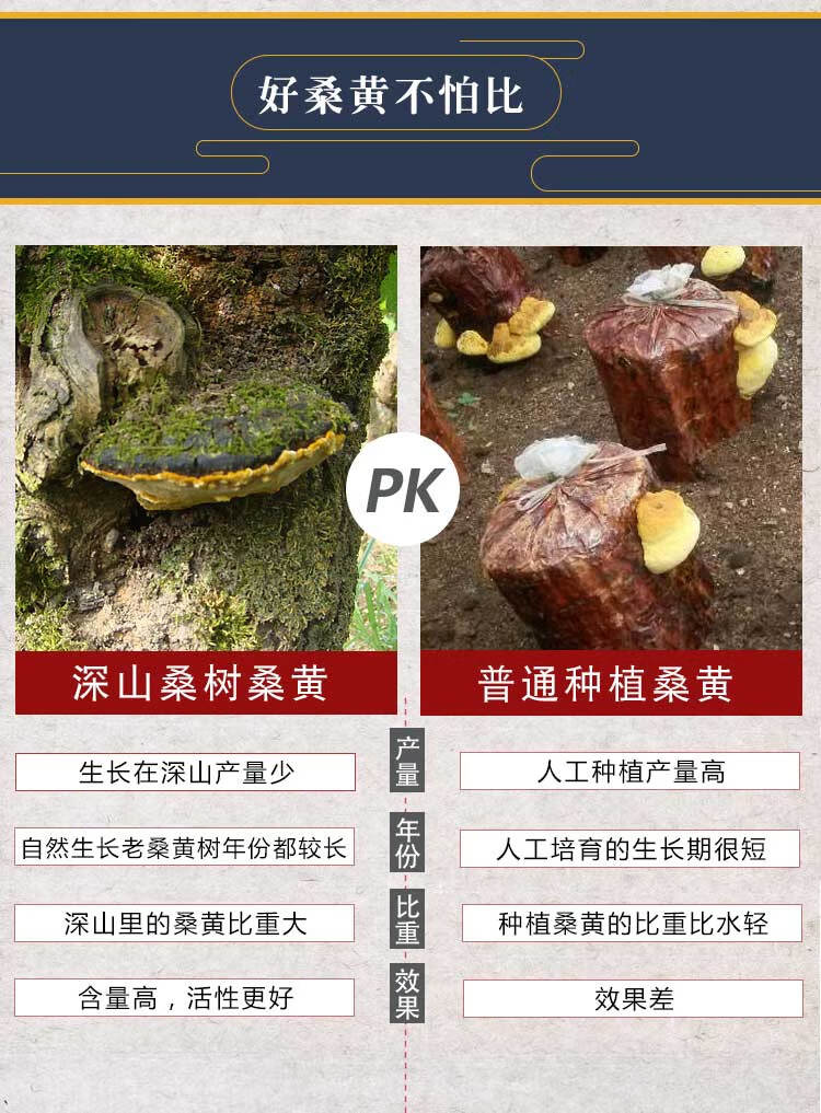 百草大叔 桑黄菌桑黄桑树桑黄 秦岭桑黄500克新货【图片 价格 品牌