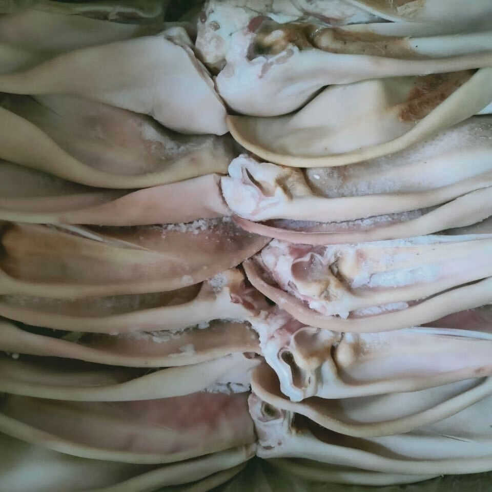 猪耳朵新鲜冷冻带根猪耳朵生猪耳朵毛重20斤每箱苏浙沪皖江苏安徽上海