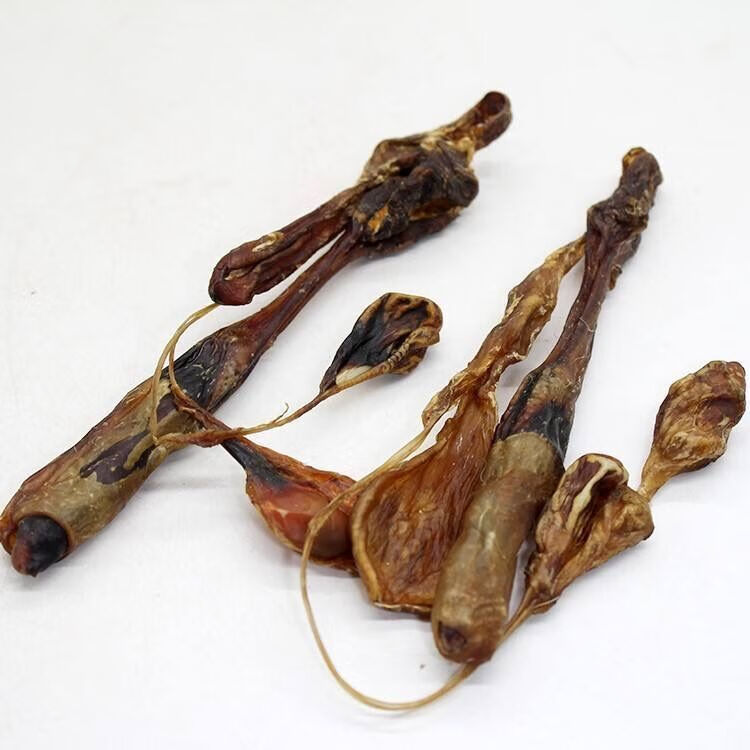 北京同仁堂原料海狗鞭肾海狗鞭中药材海狗传统搭配鹿鞭茸泡酒料单只整