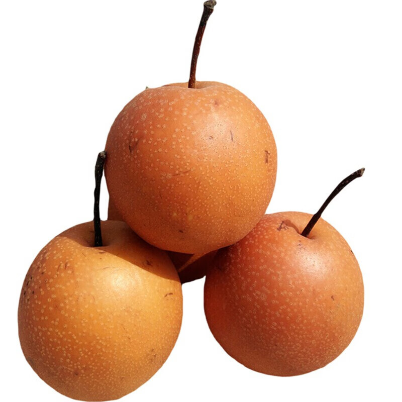 媚调【河北红梨】魏县品种小红梨 魏县小红梨 新鲜水果梨子 沙梨 3-10