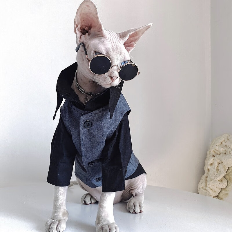 无毛猫衣服斯芬克斯猫德文秋冬英伦风礼服结婚西装衬衫套装宠物 黑色