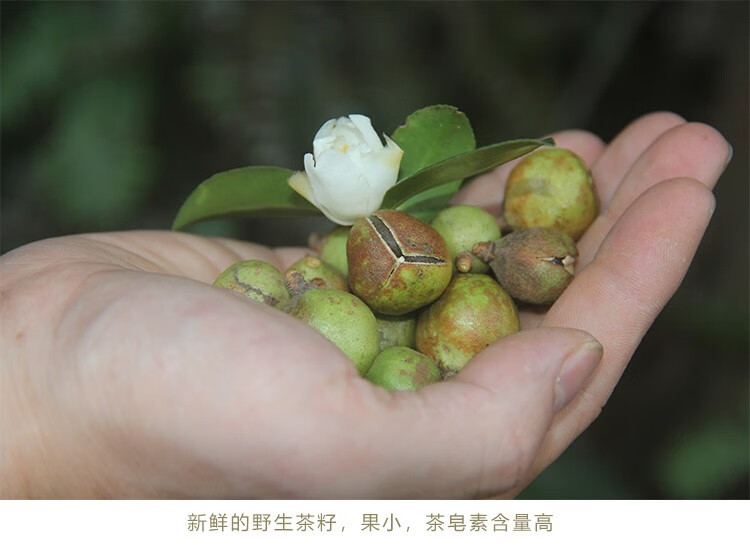 茶籽粉洗发茶麸粉纯茶枯粉茶籽菇渣茶油仔粉家用洗头洗碗15包每包500g