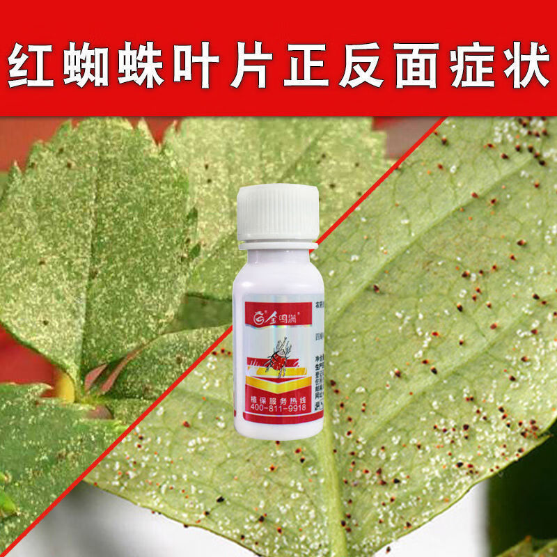 红蜘蛛专用药月季玫瑰杀虫药杜鹃花卉杀卵杀螨绣球植物杀虫剂通用 20